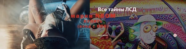 МДПВ Алексин