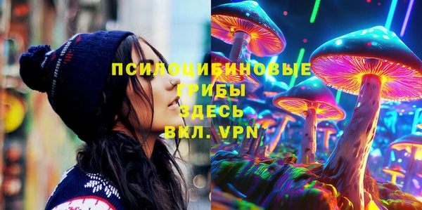 прущая мука Алзамай