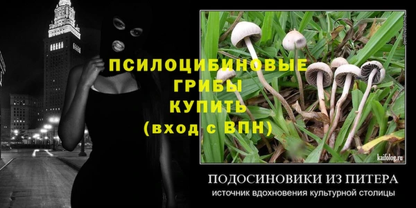 прущая мука Алзамай