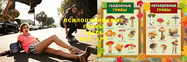 МДПВ Алексин