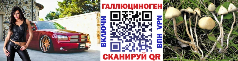 Галлюциногенные грибы GOLDEN TEACHER  Ухта 